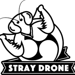 STRAY DRONE